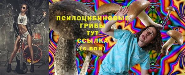прущий лед Алексеевка